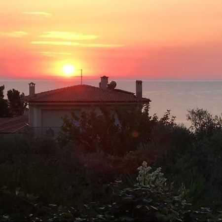 The Country House Koutsoupia Kokkino Nero Bagian luar foto