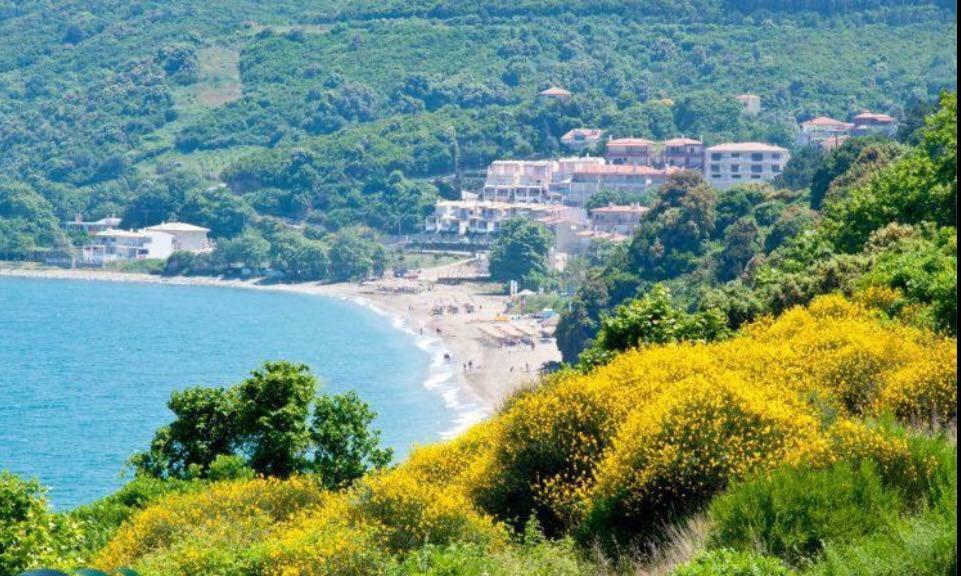 The Country House Koutsoupia Kokkino Nero Bagian luar foto